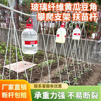 Plant Support Stakes for Climbing Vegetables and Fruits, Garden Trellis for Cucumber, Tomato, Bean, Loofah, Grape