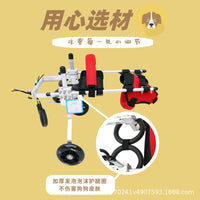 Pet Cat Wheelchair for Hind Leg Rehabilitation - Lightweight Support for Disabled Cats