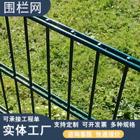 Double Wire Welded Mesh Fence Panel for Parks and Outdoor Enclosures