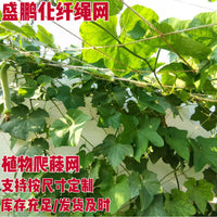 Agricultural Plant Climbing Netting for Fruits, Vegetables, and Decorative Vines
