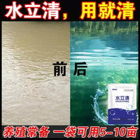 Pond Water Clarifier for Fish Ponds and Aquaculture, Rapid Purification Agent