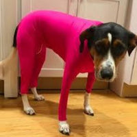 Large Dog Four-Legged Stretchy Bodysuit Pet Cat Dog Pajamas Home Clothes