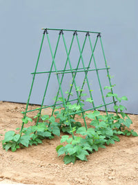 Garden Trellis Kit for Climbing Plants, Coated Steel Support for Beans, Cucumbers, Tomatoes, and Vegetables