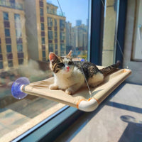 Cat Window Hammock Bed with Suction Cups, All-Season Glass-Mounted Perch for Cats