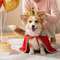 Pet Dog Cat King Cape with Crown for Festival Party Decoration