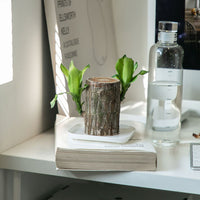 Thickened Plastic Square Drip Tray for Succulent Pots