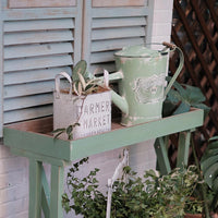 French Vintage Galvanized Watering Can for Garden Plants and Flowers