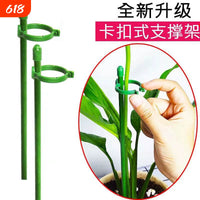 Plant Support Stakes for Tomatoes, Peppers and Climbing Flowers
