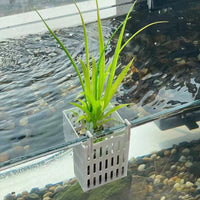 Hydroponic Plant Basket Wall-Mounted Transparent Thickened for Green Plants Fish Tank Micro-Landscape