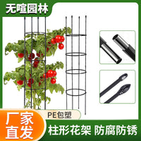 Garden Trellis for Climbing Plants, Metal Plant Support Stake for Potted Flowers, Indoor Outdoor Use