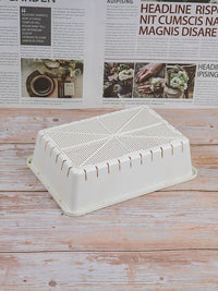 Thickened White Plastic Seedling Trays for Succulents and Lithops, Small Propagation Planters