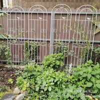 Wrought Iron Garden Trellis for Climbing Plants, Roses, Clematis, and Vines