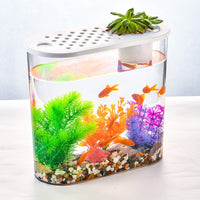 Desktop Oval Aquarium for Turtles and Fish with Hydroponic/Soil Cultivation Options