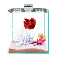 Betta Fish Tank Crystal Clear Glass Desktop Aquarium with Optional Lid and Light