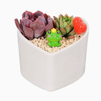 DIY Moss Terrarium Kit with Glass Bottle for Micro Landscape Decor