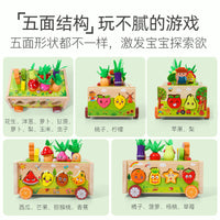 Wooden Multifunctional Educational Farm Animal Fruit Shape Block Pull Radish Matching Toy Car for Kids