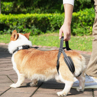 Pet Dog Leg Support Harness for Injured or Disabled Senior Dogs, Rehabilitation and Walking Aid