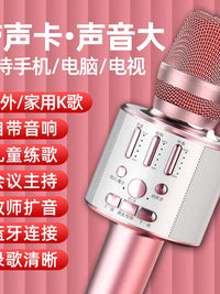 Wireless Bluetooth Karaoke Microphone with Sound Card for Mobile Phone TV Home Use