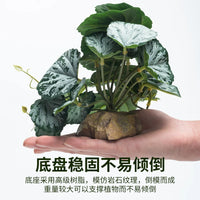 SuperRep Reptile Terrarium Artificial Plant Decor for Rainforest Tanks and Tortoise/Lizard/Gecko Habitats