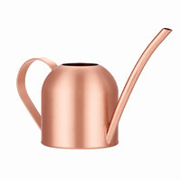 Stainless Steel Mini Watering Can for Indoor Plants, Long Spout, 500ml
