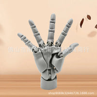 Highly Articulated 1/2 Scale Finger Joint Model for Artists and Collectors