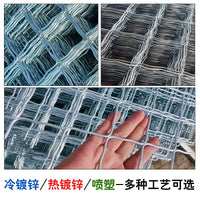Galvanized Welded Wire Mesh for Fencing and Construction