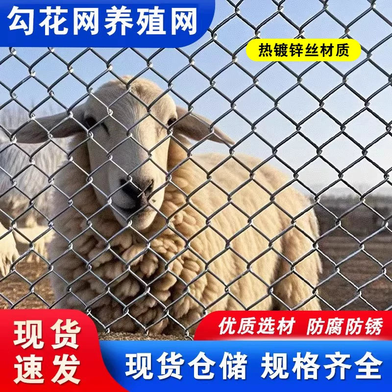 Galvanized Steel Chain Link Fence for Farm and Orchard Enclosures