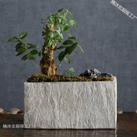 Rectangular Cement Planter for Indoor Plants, Succulents, and Hydroponics