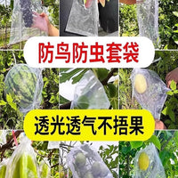 Fruit Protection Bags for Peaches, Apples, Guavas, Pears - Anti-Insect and Anti-Bird Net Covers for Fruit Trees