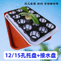 Orchid Pot Tray with Drip Tray, Rectangular Large Seedling Tray for Planters