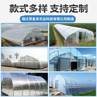 Single Arch Greenhouse Simple Tunnel Greenhouse Agricultural Breeding Shed Sunlight Greenhouse Flower Seedling Planting Warm Shed