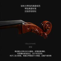 Violin C108 Professional Handmade Cello, Imported European Wood, Oil Varnish, Italian Spruce