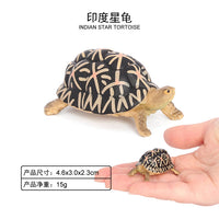 Miniature Solid Simulation Marine and Land Turtle Figurines for Kids' Cognitive Play and Decoration