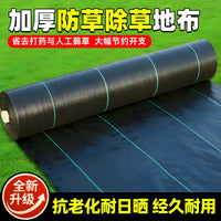 Heavy-Duty Weed Barrier Fabric for Orchards & Greenhouses - Permeable & UV Resistant Ground Cover