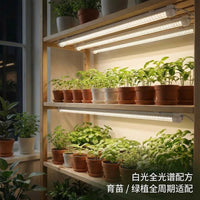 LED Grow Light Full Spectrum for Succulents and Indoor Plants, Plant Growth Lamp for Seedlings and Flowering