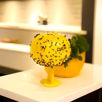 Fruit Fly Trap Indoor Killer for Small Flying Insects, Kitchen Gnat and Bug Catcher, Sticky Ball Lure