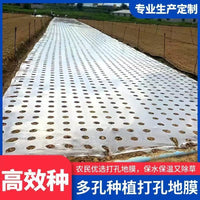 Agricultural Perforated White Mulch Film for Greenhouse Vegetable & Crop Planting