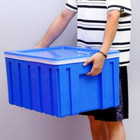Portable Insulated Cooler Box for Camping, Car, and Outdoor Food Preservation