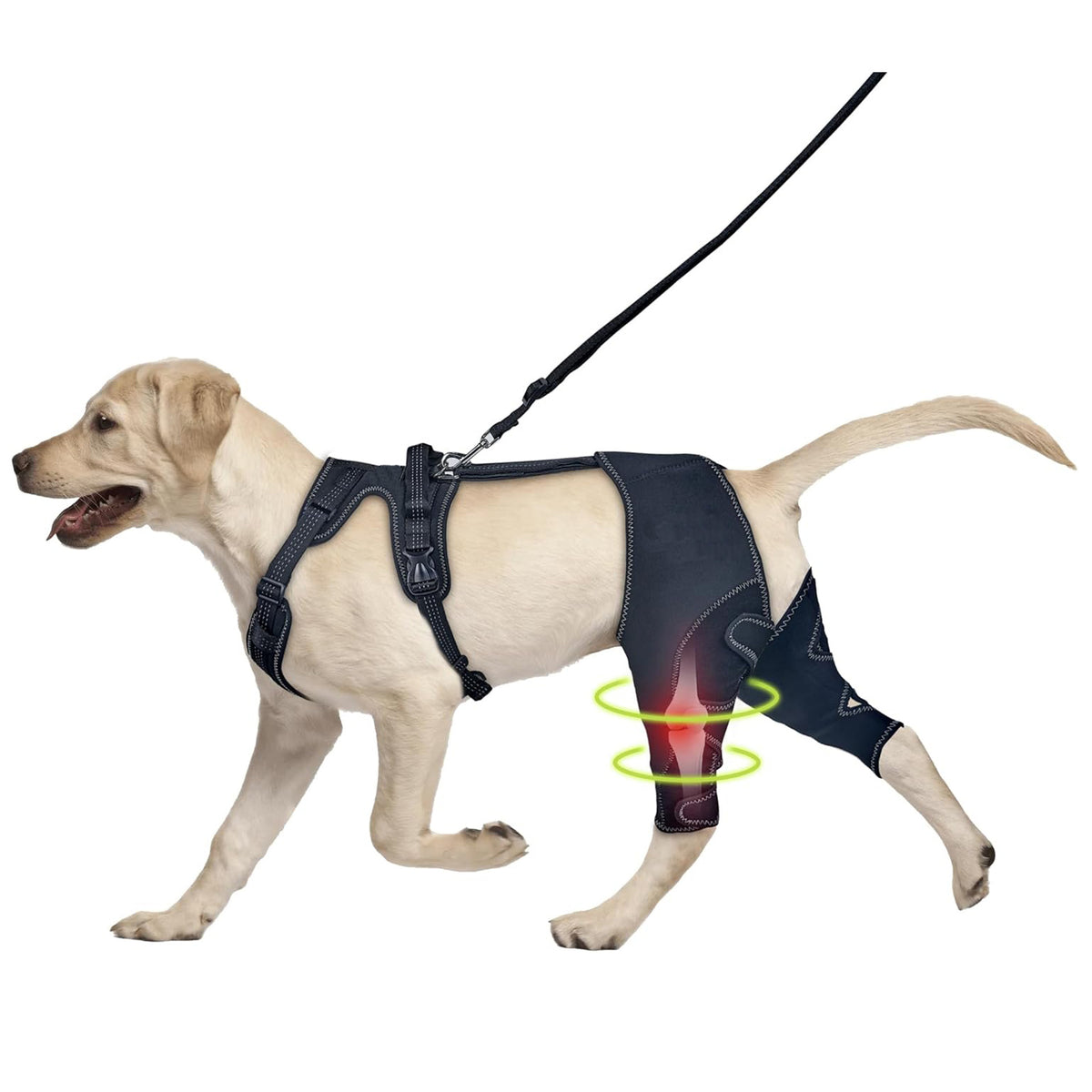 Pet Dog Leg Brace for Post-Surgery Recovery and Joint Protection
