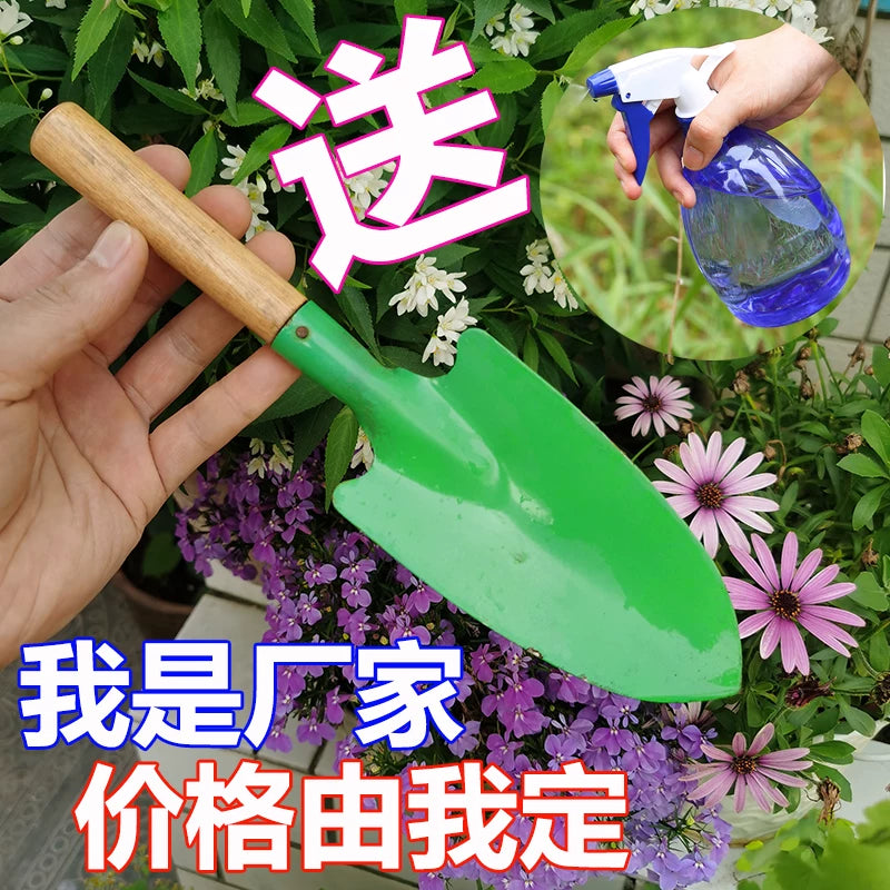 Gardening Hand Trowel Set for Potted Plants, Succulents, and Vegetable Cultivation