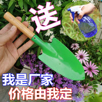 Gardening Hand Trowel Set for Potted Plants, Succulents, and Vegetable Cultivation