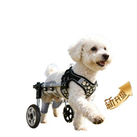 Pet Wheelchair for Disabled Dogs and Cats, Hind Leg Rehabilitation Cart