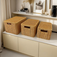 Hand-Woven Rattan Storage Basket with Lid, Rectangular Desktop Organizer for Home