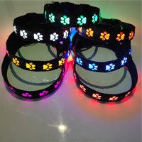 Rechargeable LED Dog Collar with Paw Print Design, Luminous Pet Safety Necklace for Night Walking