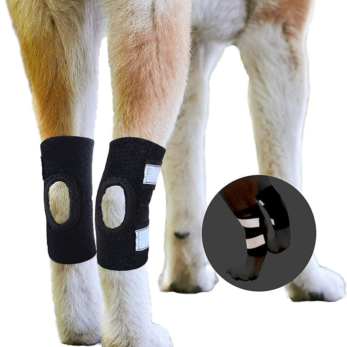 Reflective Dog Knee Brace Leg Joint Protector for Large Dogs