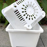 Square Plastic Succulent Planter Pots for Seedling and Desktop Green Plants