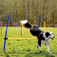 Dog Agility Training Hurdle Set for Outdoor Exercise and Sensitivity Training