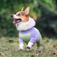 Dog Summer Cooling Sun Protection Jumpsuit for Outdoor Activities