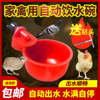 Automatic Poultry Waterer Drinking Cups for Chickens Ducks Geese Quail Birds