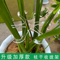 Plant Support Stake for Monstera and Potted Green Plants, Anti-Toppling Garden Fixator